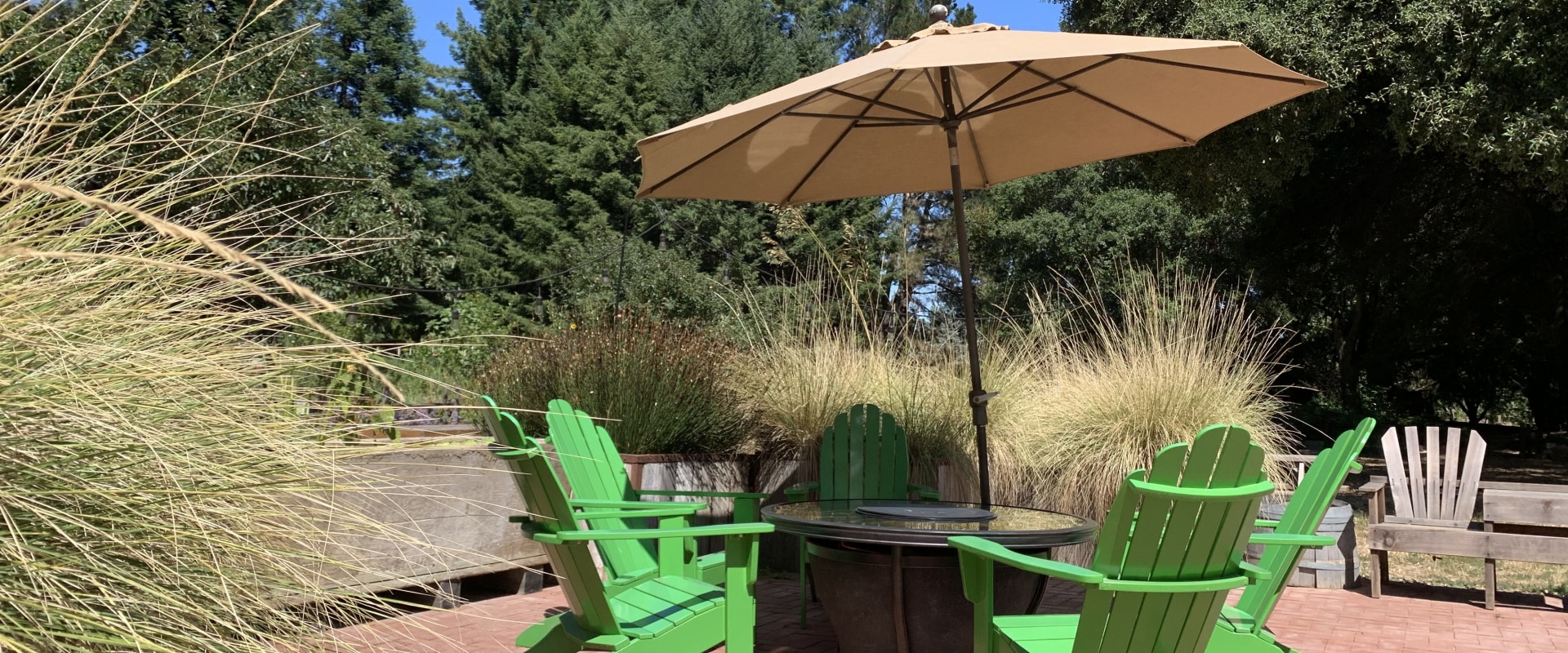 How To Make The Most Of Your Cidery Tour Experience In Santa Rosa